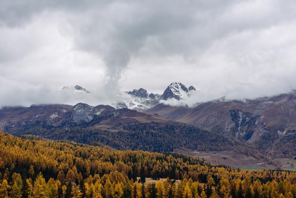 Hotel Schloss Hotel & Spa Pontresina 4*