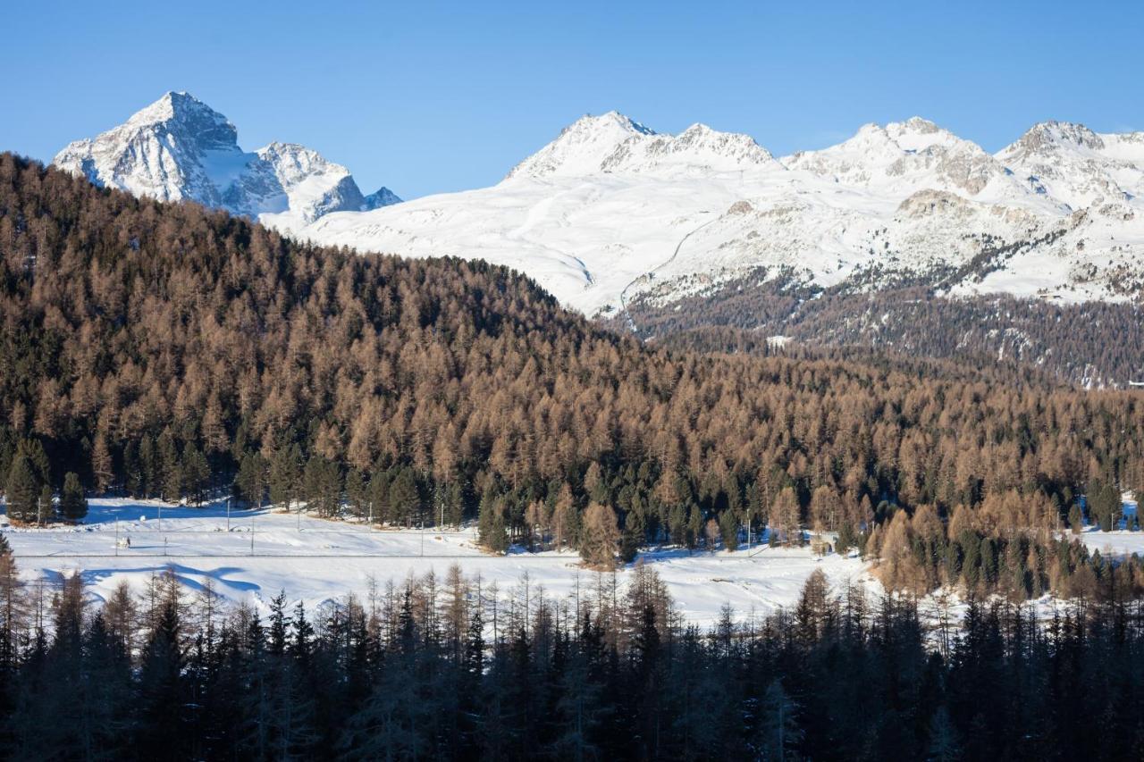 Schloss Hotel&spa 4*
